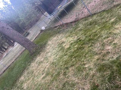 Lawn Care service in Wenatchee, 98801