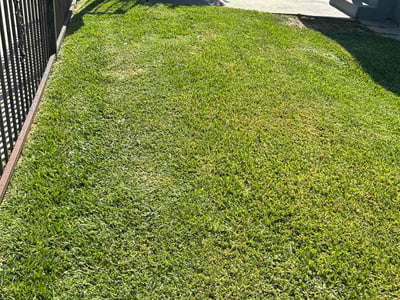 Lawn Care service in Glendora, 91741
