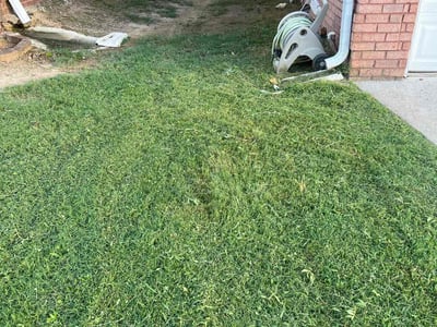 Lawn Care service in Wenatchee, 98801