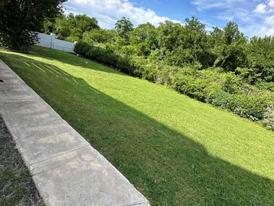 Lawn Care service in Glendora, 91741