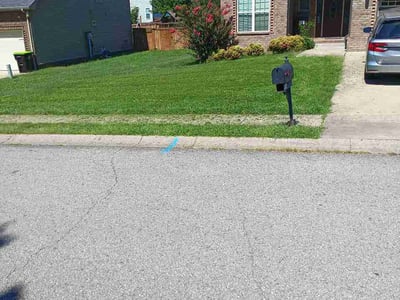 Lawn Care service in Sevierville, 37862