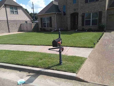 Lawn Care service in Arlington, 38002
