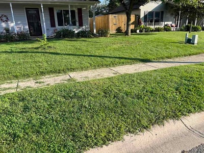 Lawn Care service in Xenia, 45385