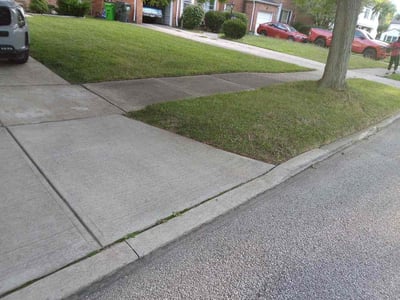 Lawn Care service in Seville, 44273