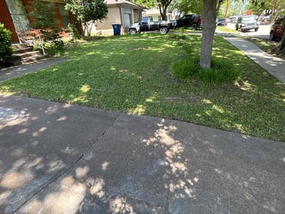 Lawn Care service in Granada Hills, 91344
