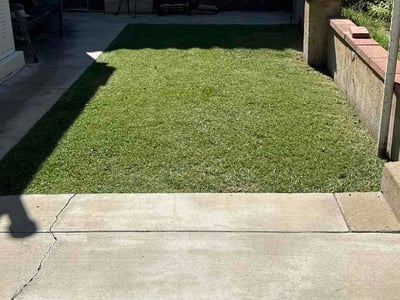 Lawn Care service in Encino, 91316