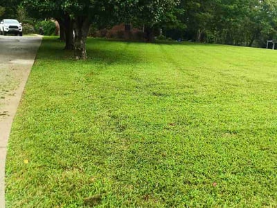 Lawn Care service in Sevierville, 37862