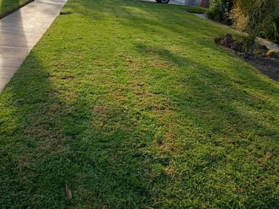 Lawn Care service in Anaheim, 92805