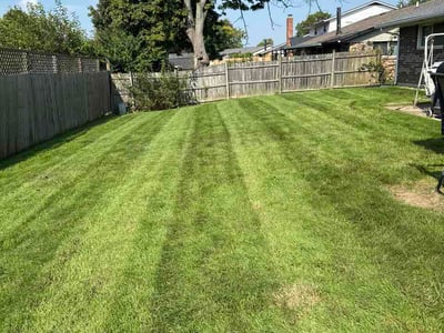 Lawn Care service in Belle Vernon, 15012