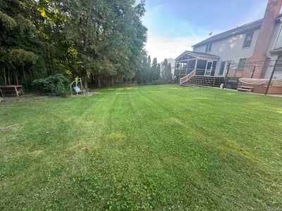 Lawn Care service in Abingdon, 21009