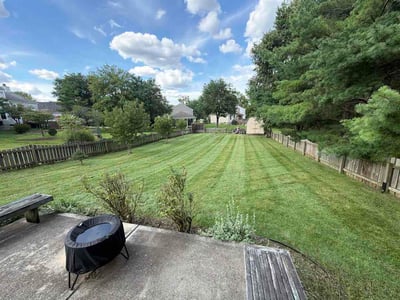 Lawn Care service in Belle Vernon, 15012