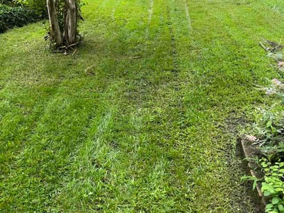 Lawn Care service in Abingdon, 21009