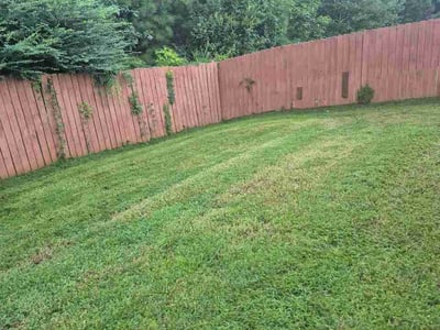 Lawn Care service in Southport, 28461