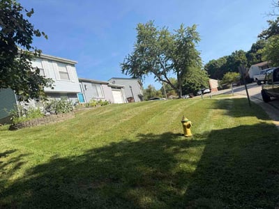 Lawn Care service in Independence, 41051