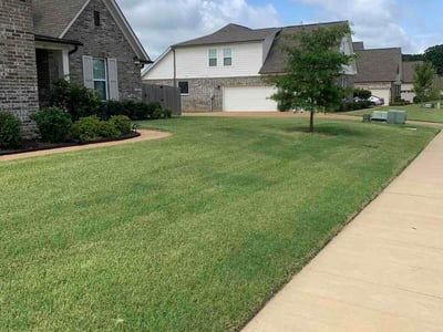 Lawn Care service in Compton, 90220