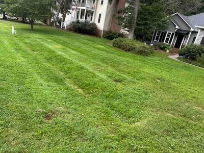 Lawn Care service in Clemmons, 27012
