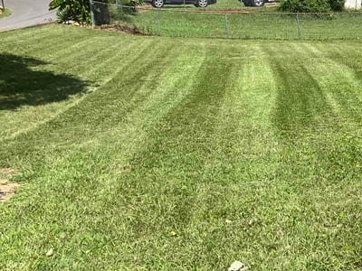 Lawn Care service in La Follette, 37766