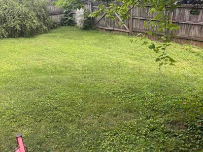 Lawn Care service in La Follette, 37766