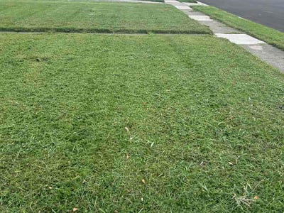 Lawn Care service in Fairborn, 45324