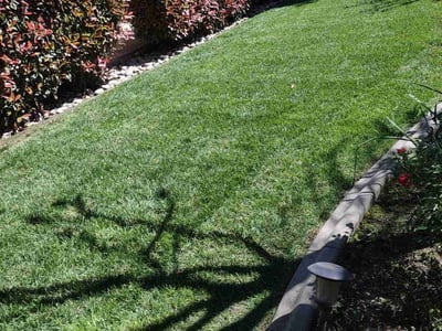 Lawn Care service in Modesto, 95354