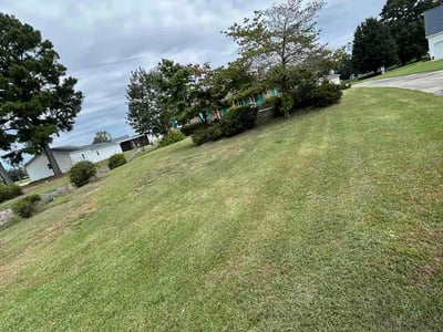 Lawn Care service in Goldsboro, 27530