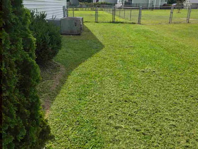 Lawn Care service in Goldsboro, 27530