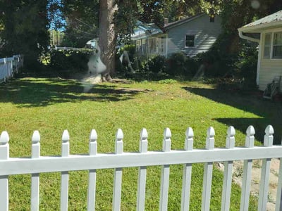 Lawn Care service in West Columbia, 29169