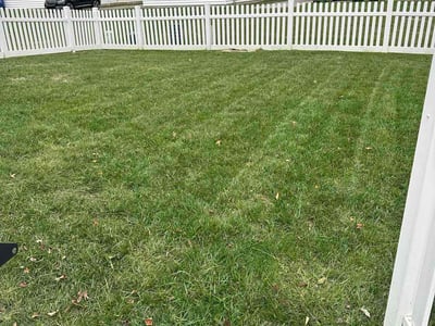 Lawn Care service in Sewickley, 15143