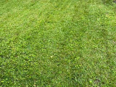 Lawn Care service in Crest Hill, 60403