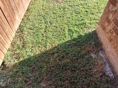 Lawn Care service in Argyle, 76226