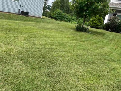 Lawn Care service in South Portland, 04106