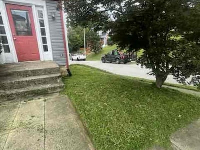Lawn Care service in Burlington, 41005