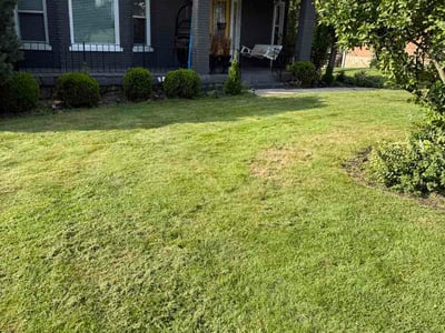 Lawn Care service in Burlington, 41005