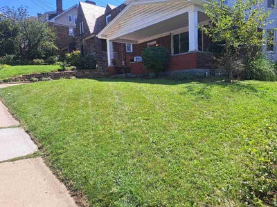 Lawn Care service in Valencia, 16059
