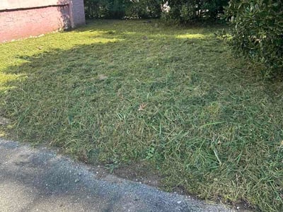 Lawn Care service in Dunlap, 37327