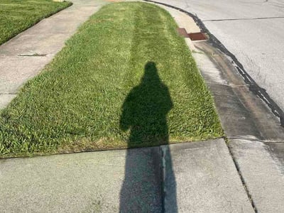 Lawn Care service in Valencia, 16059
