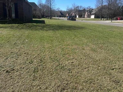 Lawn Care service in Gonzales, 70737
