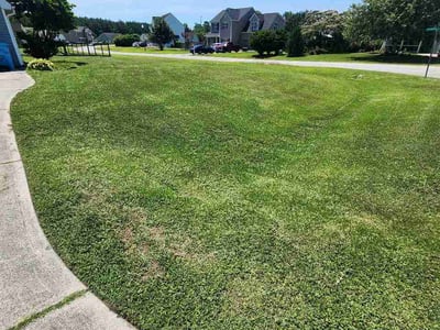 Lawn Care service in Sunset Beach, 28468