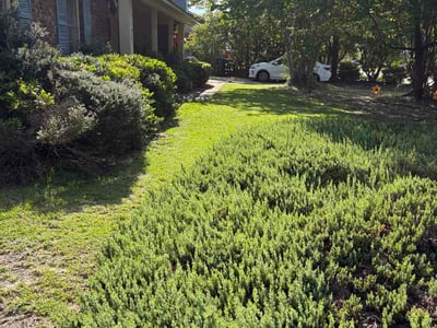 Lawn Care service in Calabash, 28467