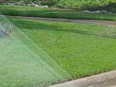 Lawn Care service in Aransas Pass, 78336