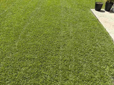 Lawn Care service in Shallotte, 28470