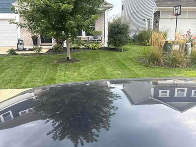 Lawn Care service in Murrysville, 15668