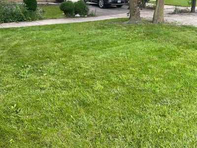 Lawn Care service in Wilmette, 60091