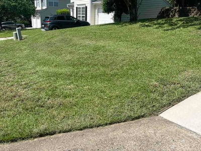 Lawn Care service in Hillsborough, 27278