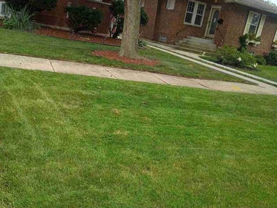 Lawn Care service in Wilmette, 60091