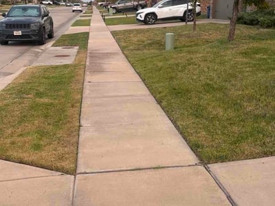 Lawn Care service in Princeton, 75407