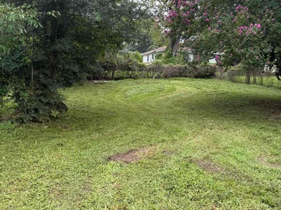 Lawn Care service in Cayce, 29033