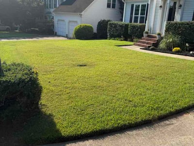 Lawn Care service in Travelers Rest, 29690
