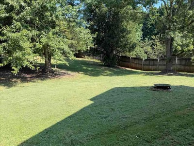 Lawn Care service in Travelers Rest, 29690