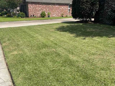 Lawn Care service in Jackson, 70748